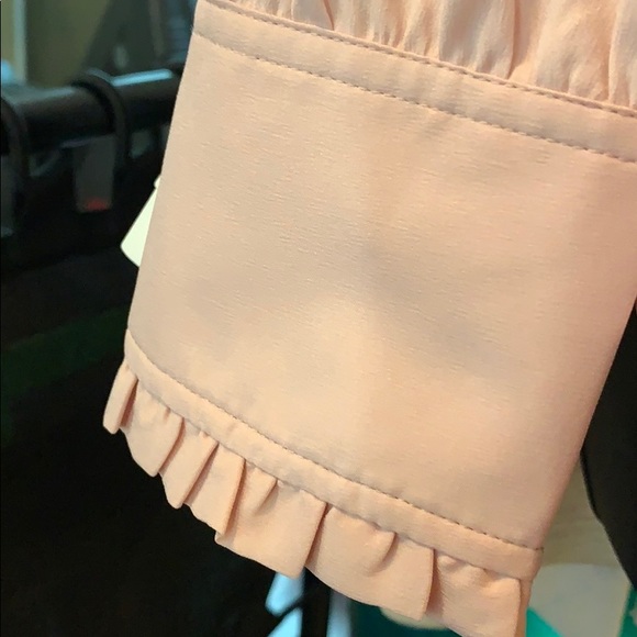 Ann Taylor Blush Blouse - Picture 3 of 7
